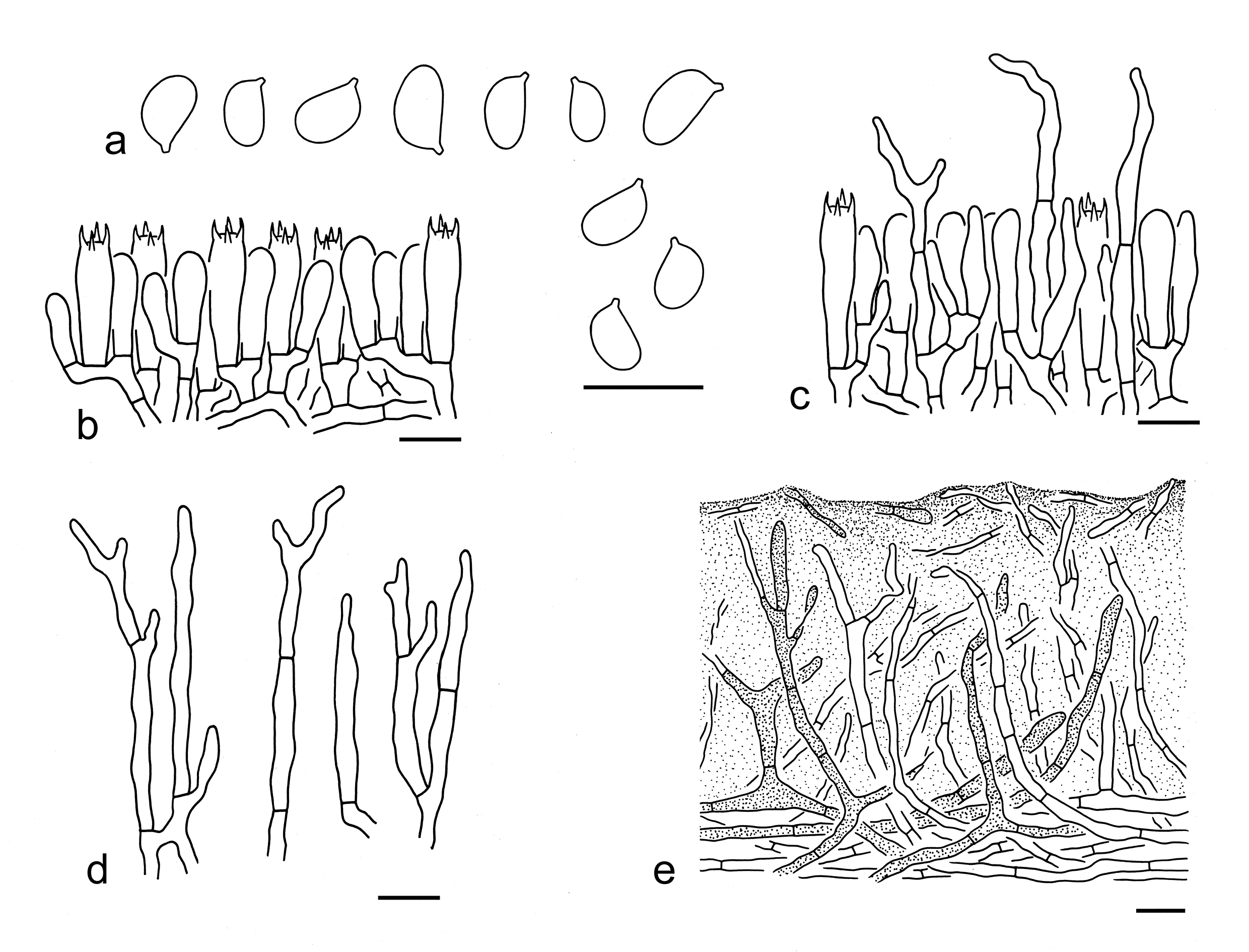 Figure 41